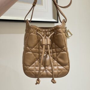 디올 디모션 미디움 크로스백