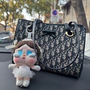 디올 오블리크 보우 쇼퍼백