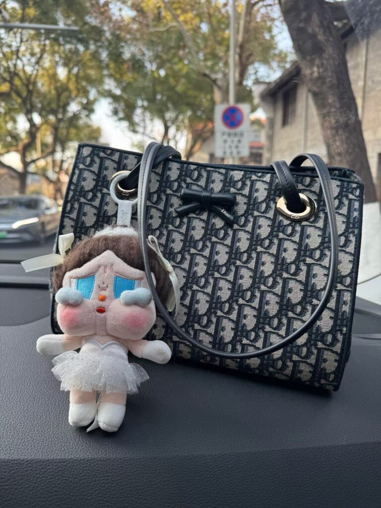디올 오블리크 보우 쇼퍼백 스몰