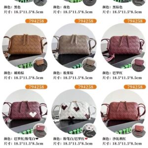 보테가베테타 콘서트 파우치