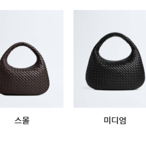 보테카 베네타 백