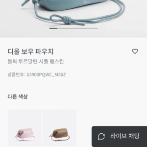 디올 보우 파우치