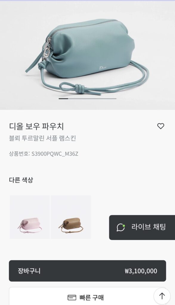 디올 보우 파우치