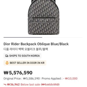 디올 라이더 백팩 오블리크 블루/블랙
