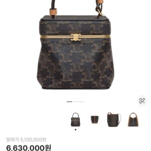 셀린느 스몰 트리옹프 프레임 백