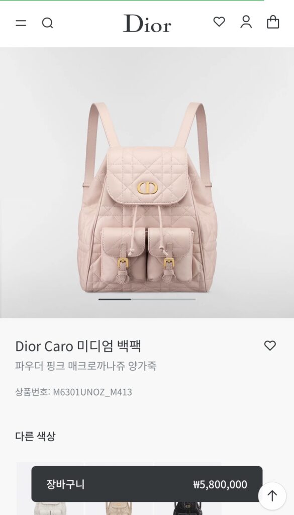 디올 카로 백팩 미디엄