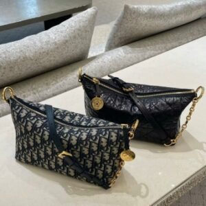 디올 스타 체인 호보백