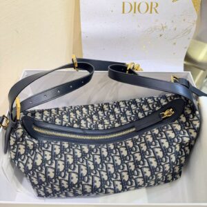 디올 디저니 백