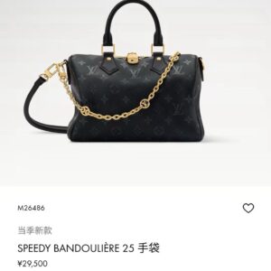 루이비통 스피디 반둘리에 25 M26690