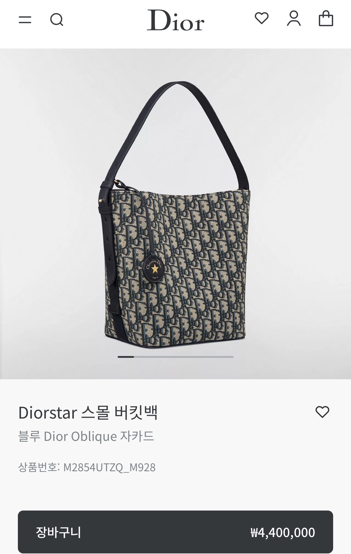 디올 Diorstar 스몰 버킷백
