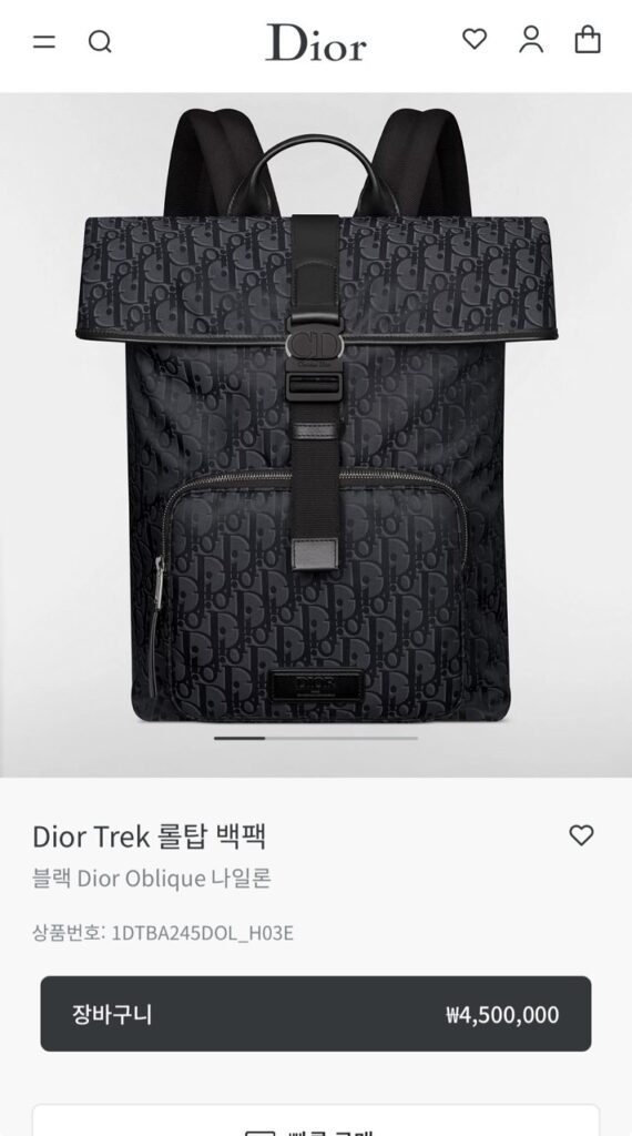 디올 Trek 롤탑 백팩