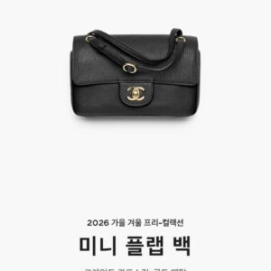 샤넬 26FW 맥시 미니 플랩백