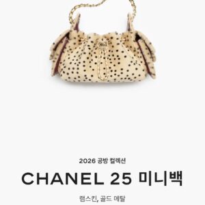 샤넬 26공방컬렉션 25백 미니 레오파드