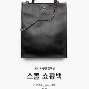 샤넬 26 공방컬렉션 스몰 쇼핑백