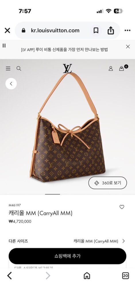루이비통 캐리올 모노그램MM