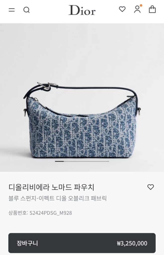디올 리비에라 노마드 파우치